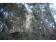 350 Coaches Creek Road, Elands NSW 2429