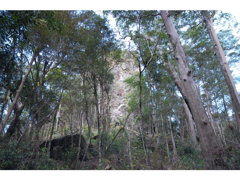 350 Coaches Creek Road, Elands NSW 2429