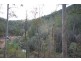 350 Coaches Creek Road, Elands NSW 2429