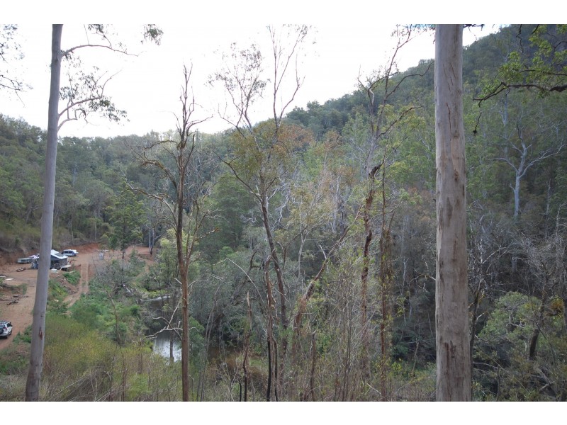 350 Coaches Creek Road, Elands NSW 2429