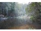 350 Coaches Creek Road, Elands NSW 2429