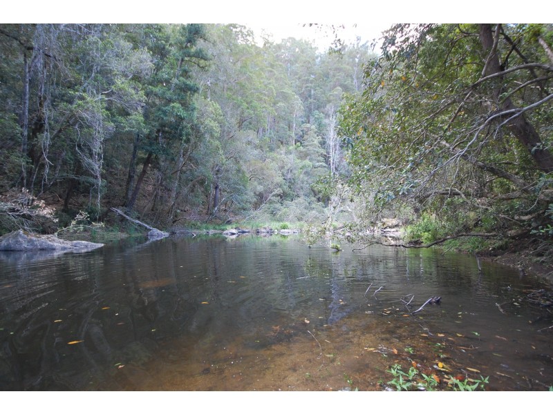 350 Coaches Creek Road, Elands NSW 2429