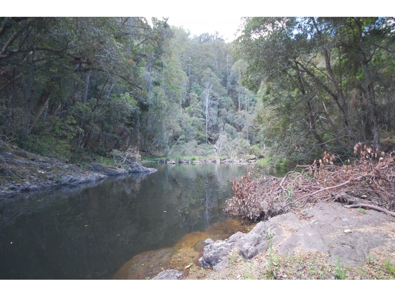 350 Coaches Creek Road, Elands NSW 2429
