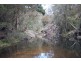 350 Coaches Creek Road, Elands NSW 2429
