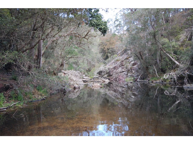 350 Coaches Creek Road, Elands NSW 2429