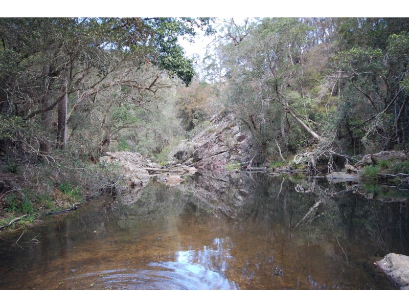 350 Coaches Creek Road, Elands NSW 2429