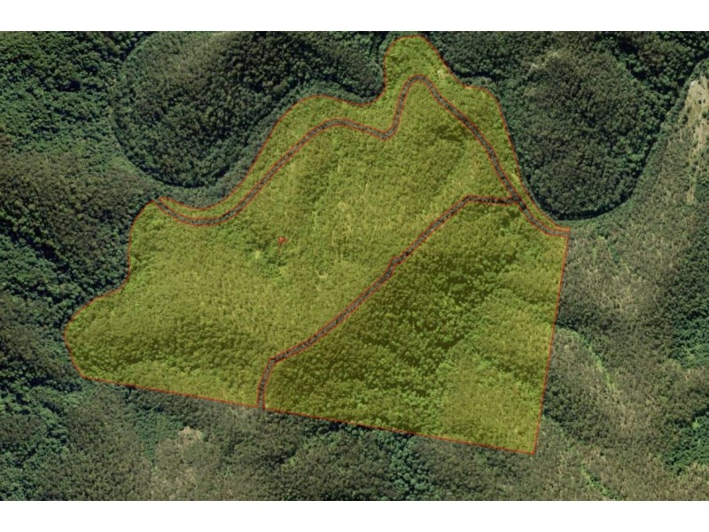 350 Coaches Creek Road, Elands NSW 2429