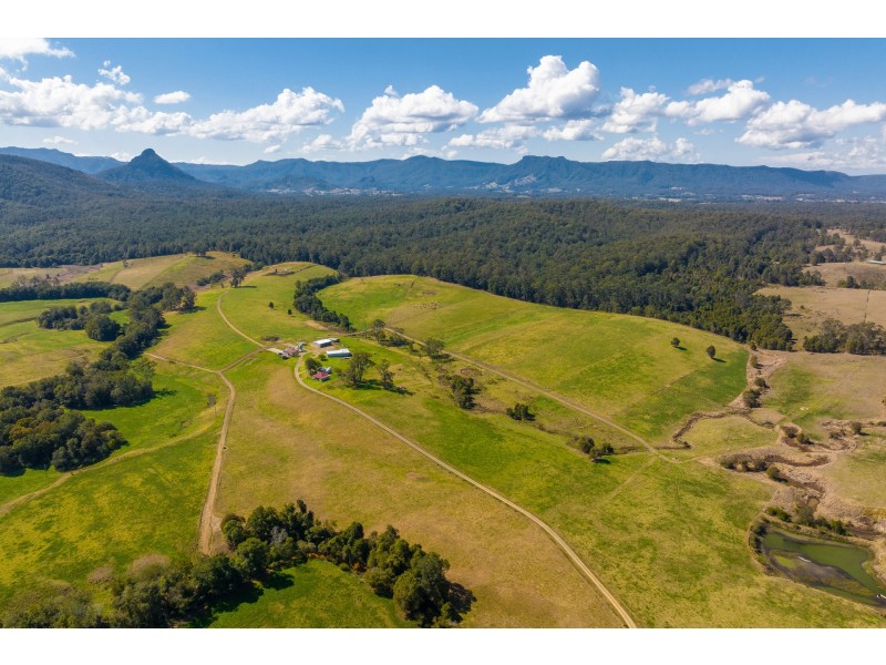 80 Mortons Road, Killabakh NSW 2429