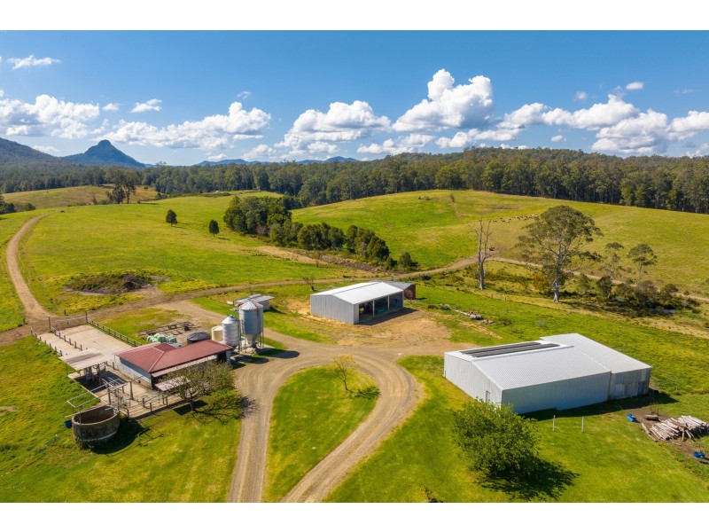 80 Mortons Road, Killabakh NSW 2429