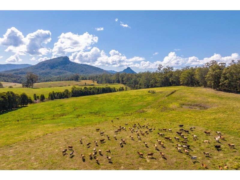 80 Mortons Road, Killabakh NSW 2429
