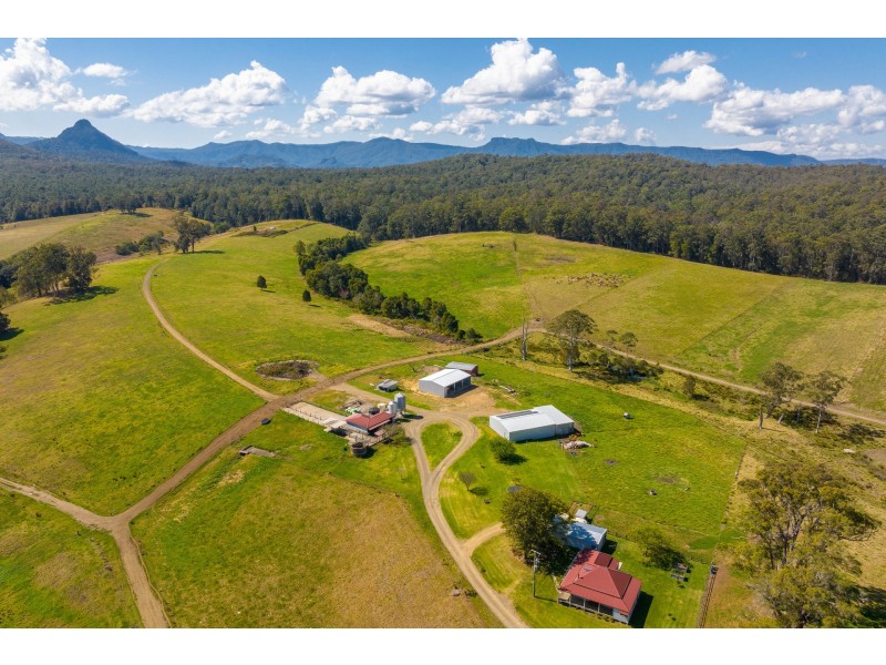80 Mortons Road, Killabakh NSW 2429
