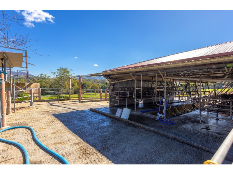 80 Mortons Road, Killabakh NSW 2429