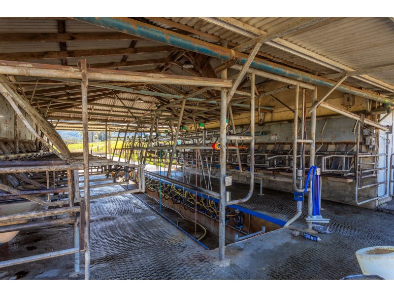 80 Mortons Road, Killabakh NSW 2429
