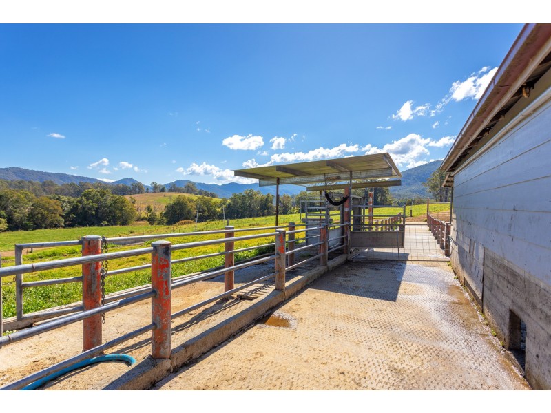 80 Mortons Road, Killabakh NSW 2429