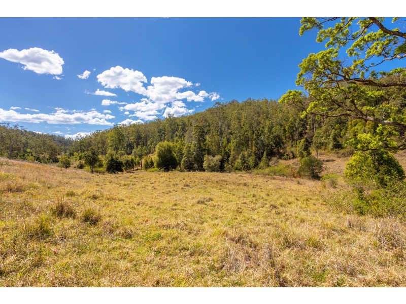Lot B Big Run Road, Wherrol Flat NSW 2429
