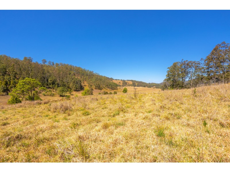 Lot B Big Run Road, Wherrol Flat NSW 2429