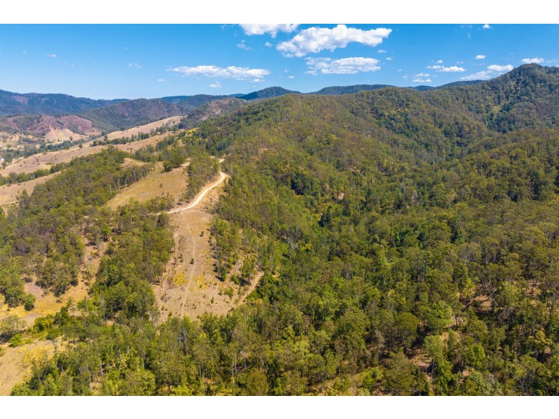 Lot B Big Run Road, Wherrol Flat NSW 2429