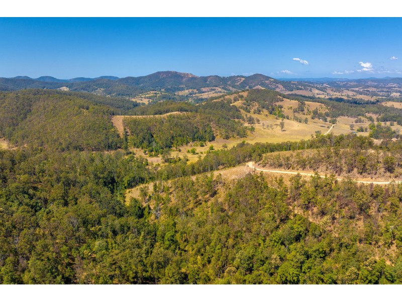 Lot B Big Run Road, Wherrol Flat NSW 2429