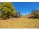Lot A Big Run Road, Wherrol Flat NSW 2429
