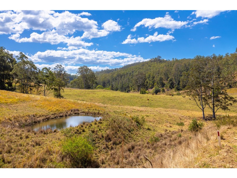 Lot A Big Run Road, Wherrol Flat NSW 2429