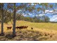 Lot A Big Run Road, Wherrol Flat NSW 2429