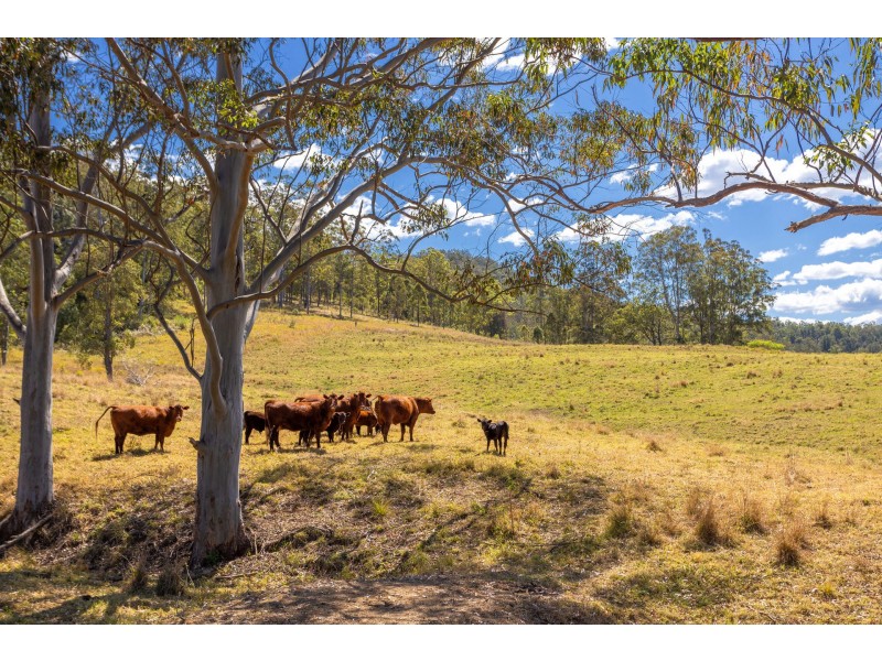 Lot A Big Run Road, Wherrol Flat NSW 2429