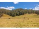 Lot A Big Run Road, Wherrol Flat NSW 2429