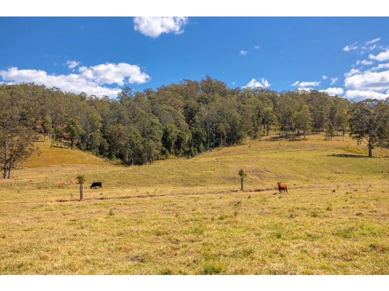 Lot A Big Run Road, Wherrol Flat NSW 2429