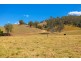 Lot A Big Run Road, Wherrol Flat NSW 2429