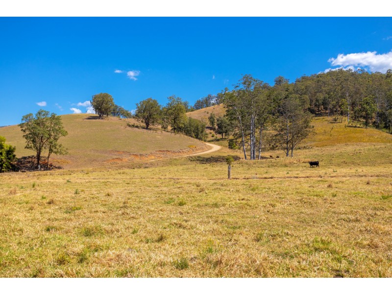 Lot A Big Run Road, Wherrol Flat NSW 2429