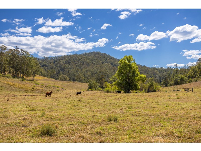 Lot A Big Run Road, Wherrol Flat NSW 2429