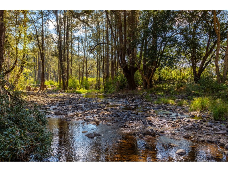 359 Kippax Road, Kippaxs NSW 2429