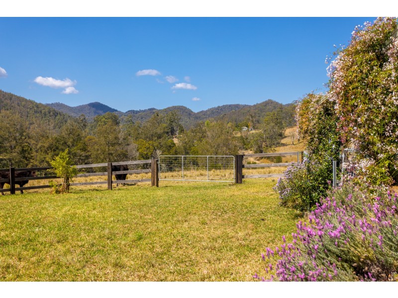 359 Kippax Road, Kippaxs NSW 2429