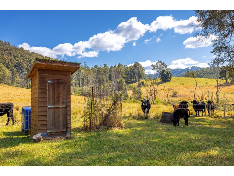 359 Kippax Road, Kippaxs NSW 2429