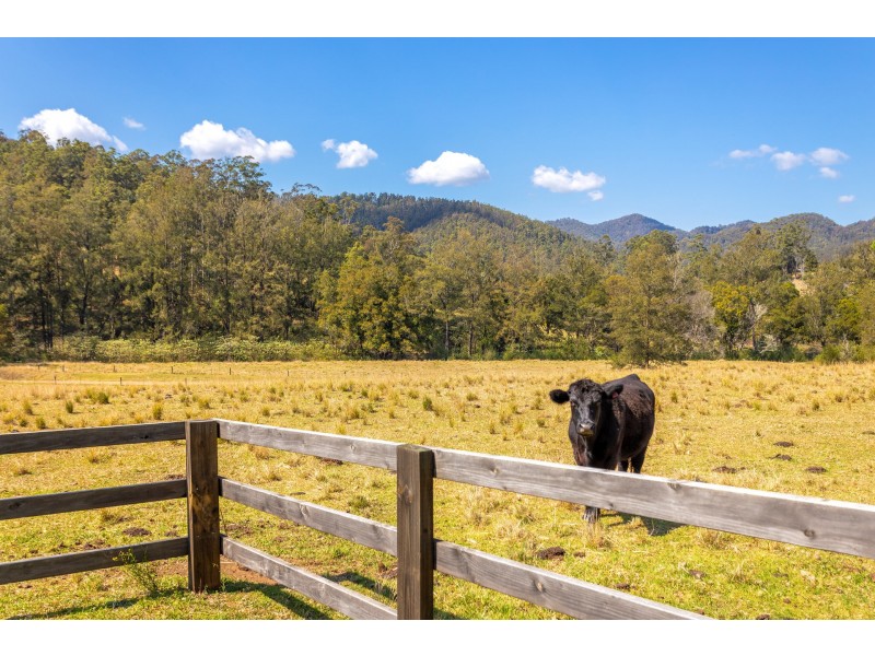 359 Kippax Road, Kippaxs NSW 2429