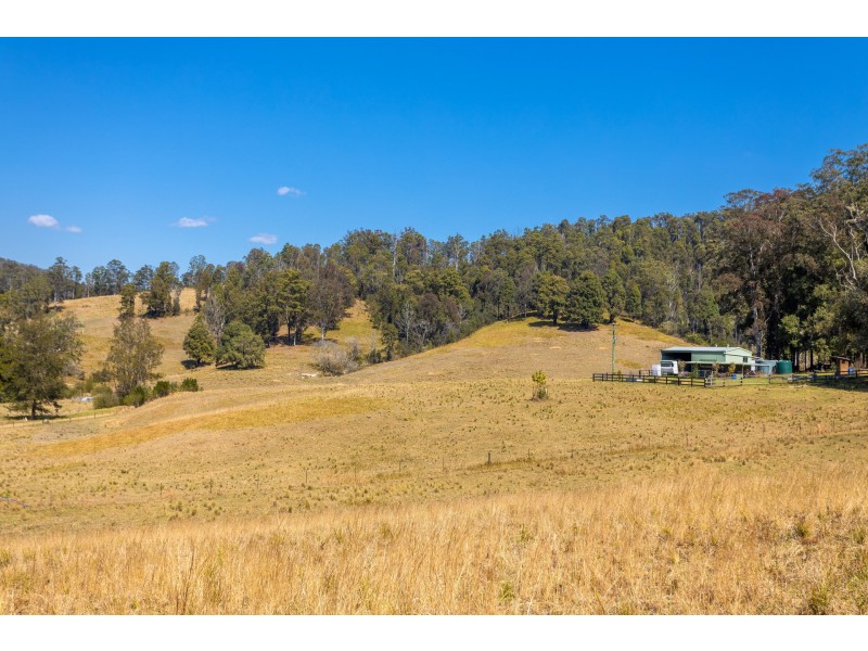 359 Kippax Road, Kippaxs NSW 2429