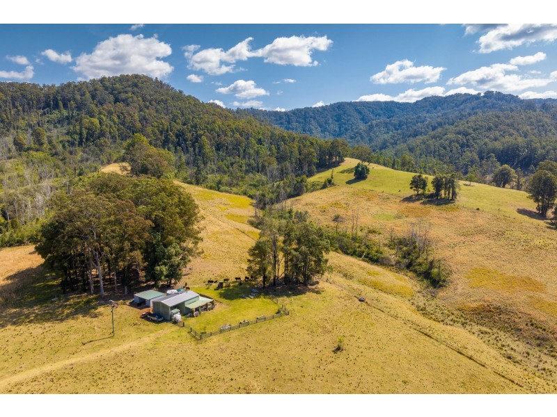 359 Kippax Road, Kippaxs NSW 2429