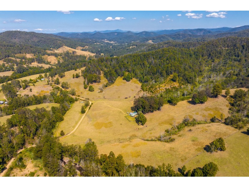 359 Kippax Road, Kippaxs NSW 2429