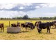 189 Murdochs Lane, Oxley Island NSW 2430
