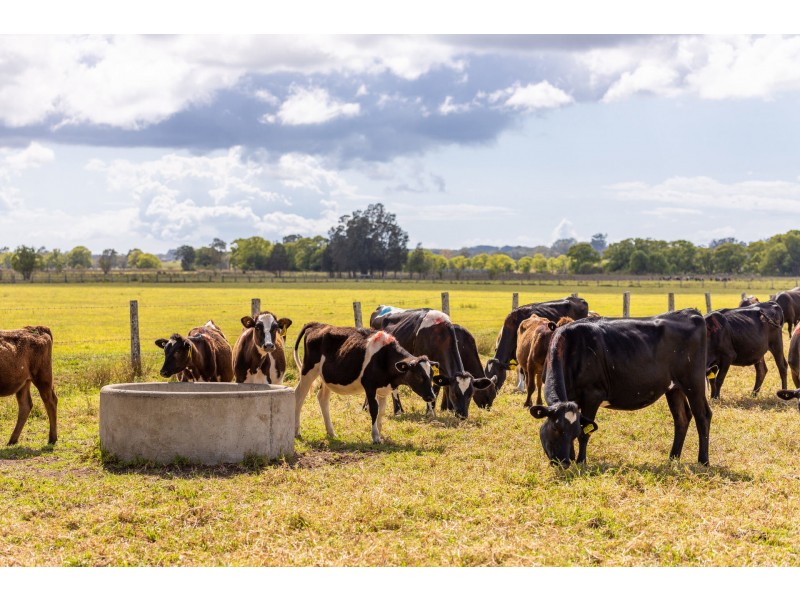 189 Murdochs Lane, Oxley Island NSW 2430