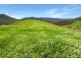 Yard Creek Aggregation, Cooplacurripa NSW 2424