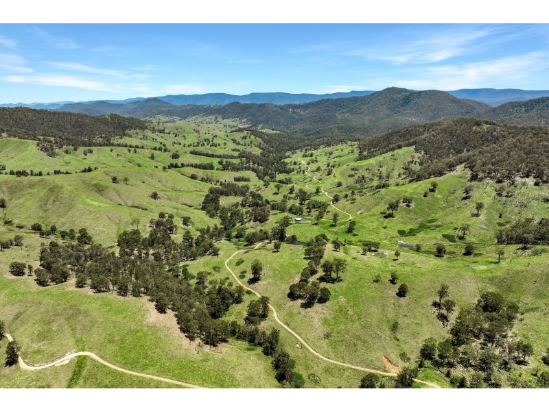 Yard Creek Aggregation, Cooplacurripa NSW 2424
