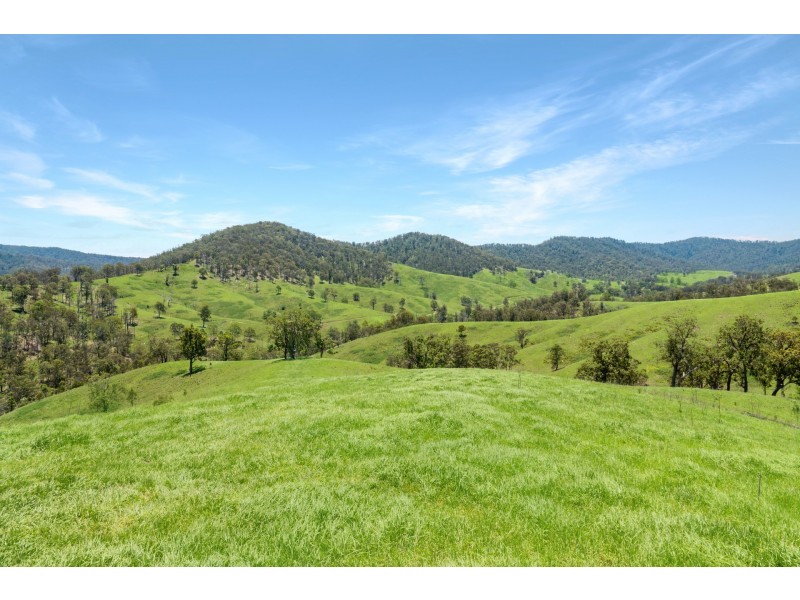 Yard Creek Aggregation, Cooplacurripa NSW 2424