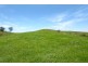 Yard Creek Aggregation, Cooplacurripa NSW 2424