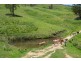 Yard Creek Aggregation, Cooplacurripa NSW 2424