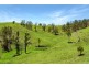 Yard Creek Aggregation, Cooplacurripa NSW 2424