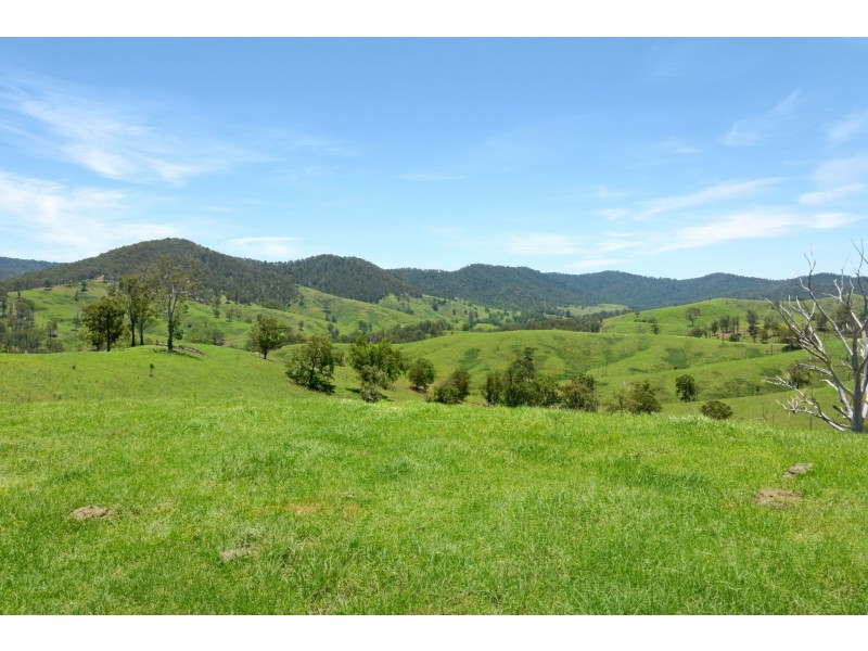 Yard Creek Aggregation, Cooplacurripa NSW 2424