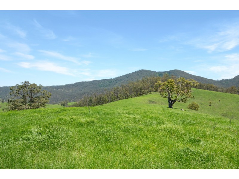 Yard Creek Aggregation, Cooplacurripa NSW 2424
