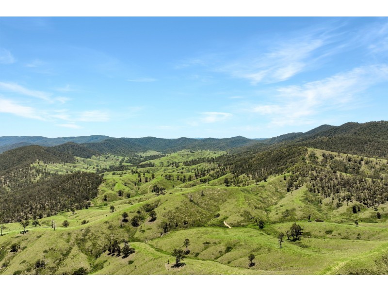 Yard Creek Aggregation, Cooplacurripa NSW 2424