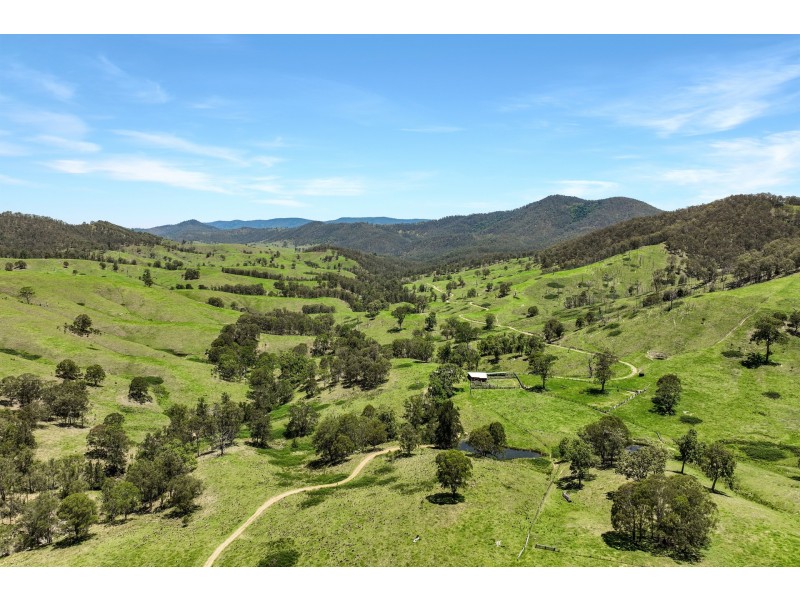 Yard Creek Aggregation, Cooplacurripa NSW 2424